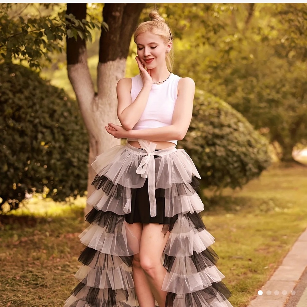 COPY - Brand new never worn skirt overlay